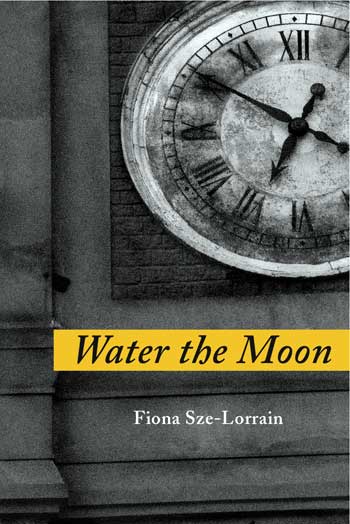 Water the Moon